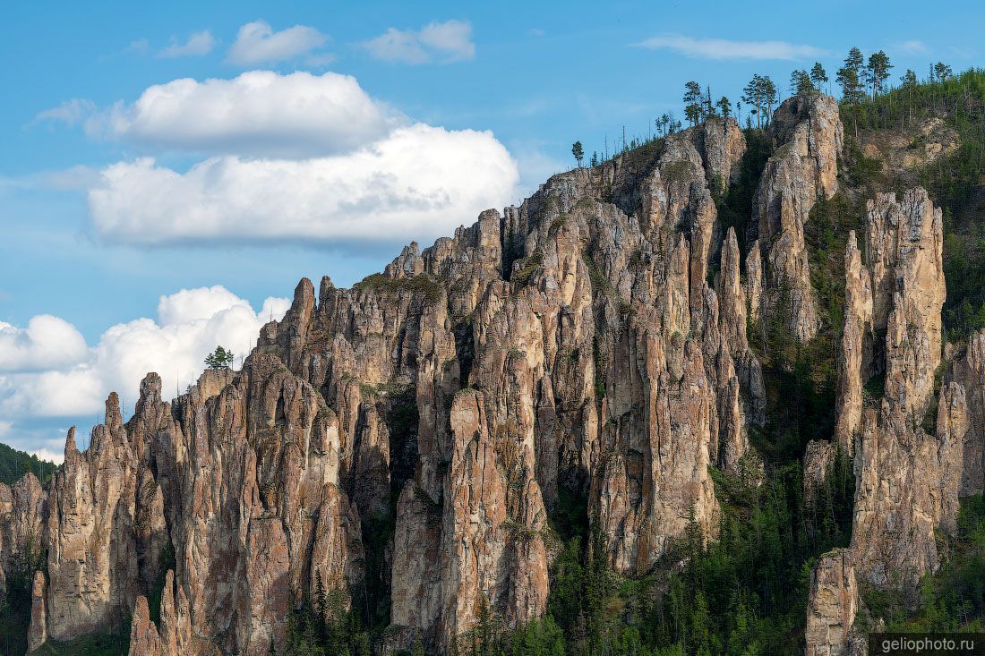 Каменный лес в Якутии фото