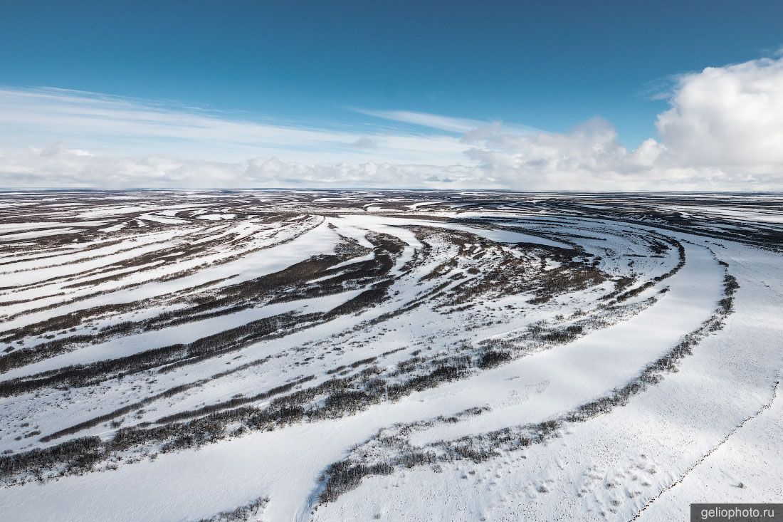 Лесотундра Ненецкого АО зимой фото