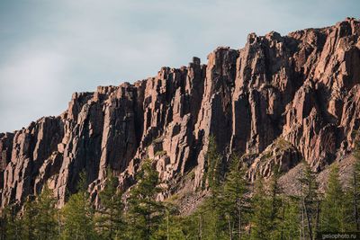 Зуб-гора в Норильске летом фото