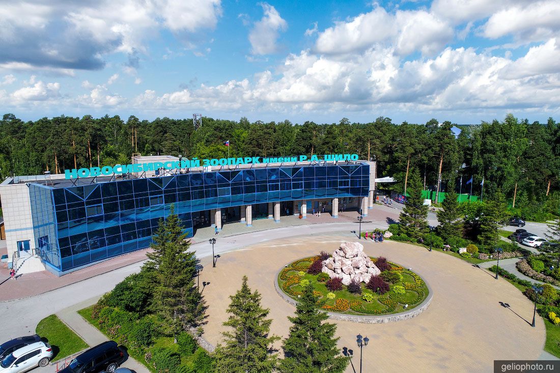 Новосибирский зоопарк фото