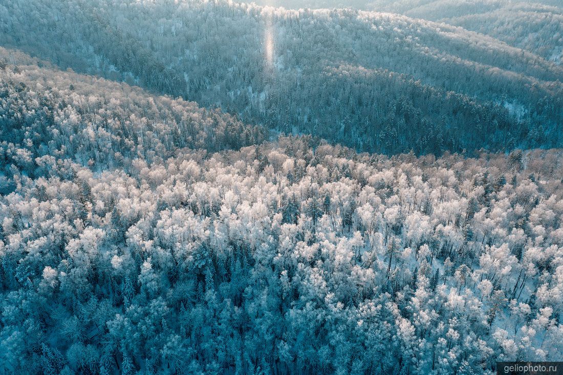Алтайская тайга зимой с высоты фото