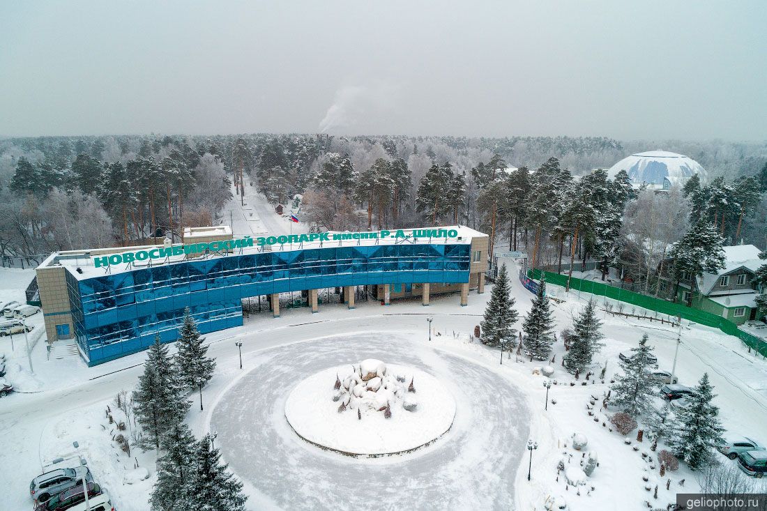 Новосибирский зоопарк имени Шило зимой фото