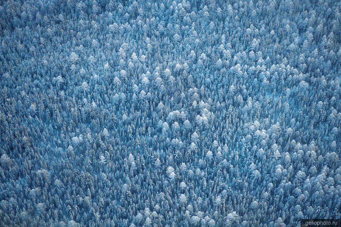 Тайга зимой с высоты фото
