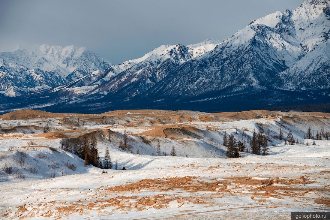 Пустыня Чарские пески фото