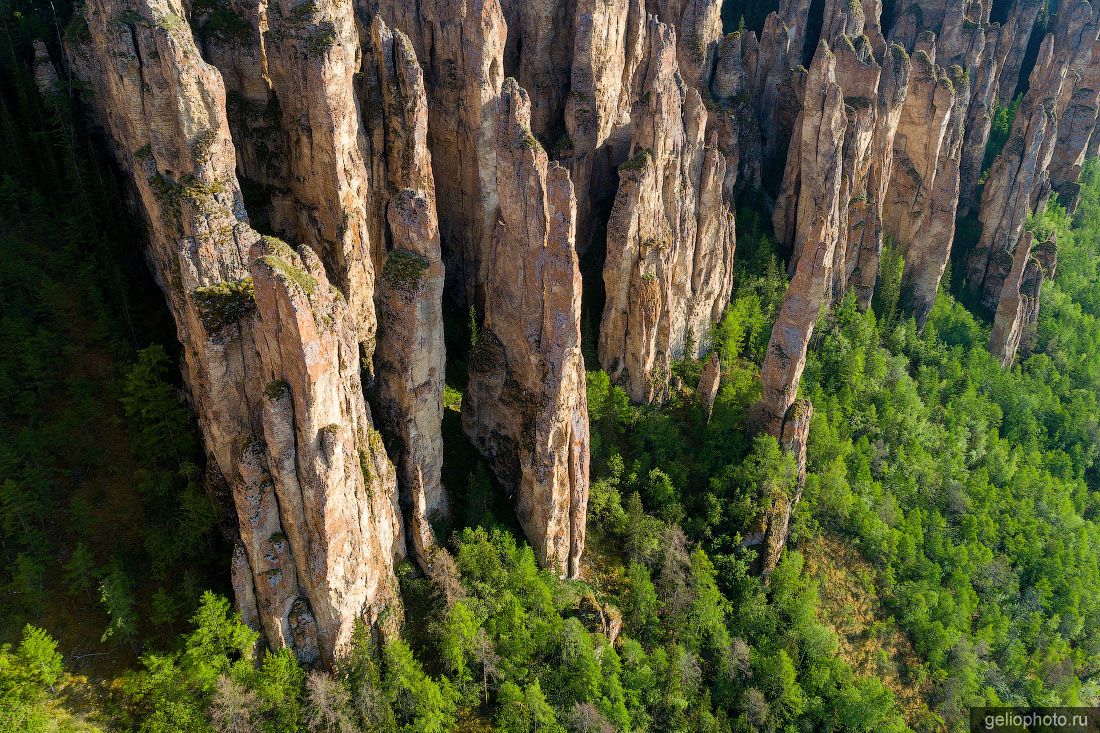 Каменный лес в Якутии фото