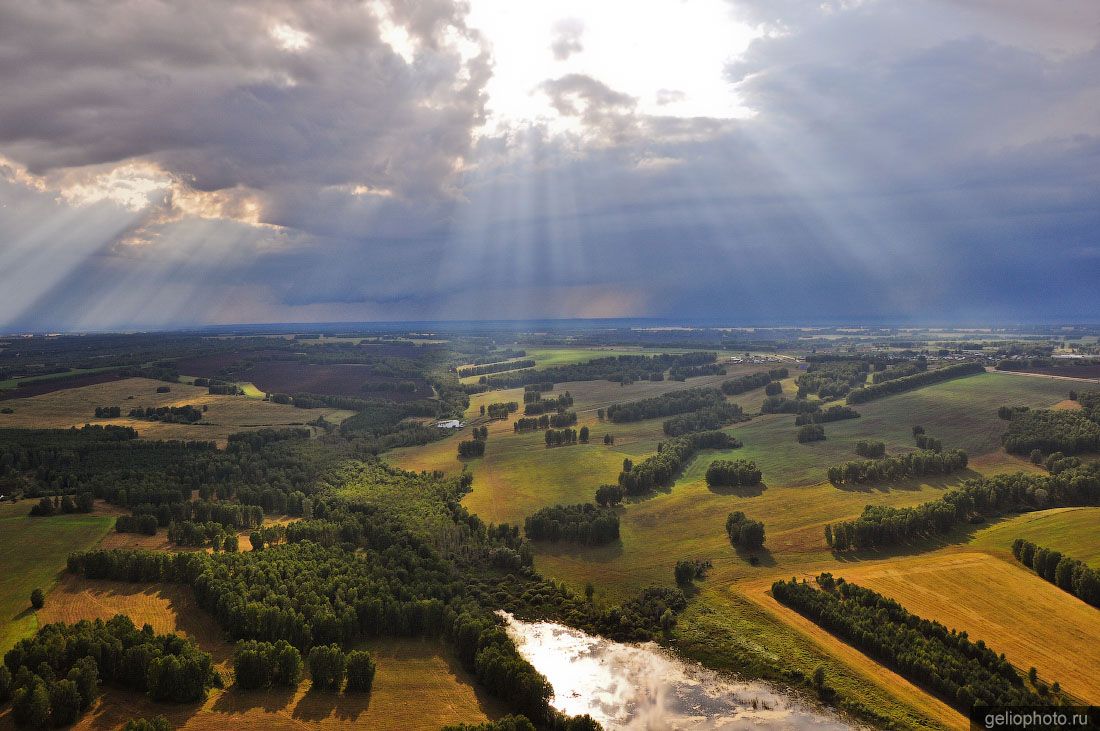 Природа Новосибирской области фото