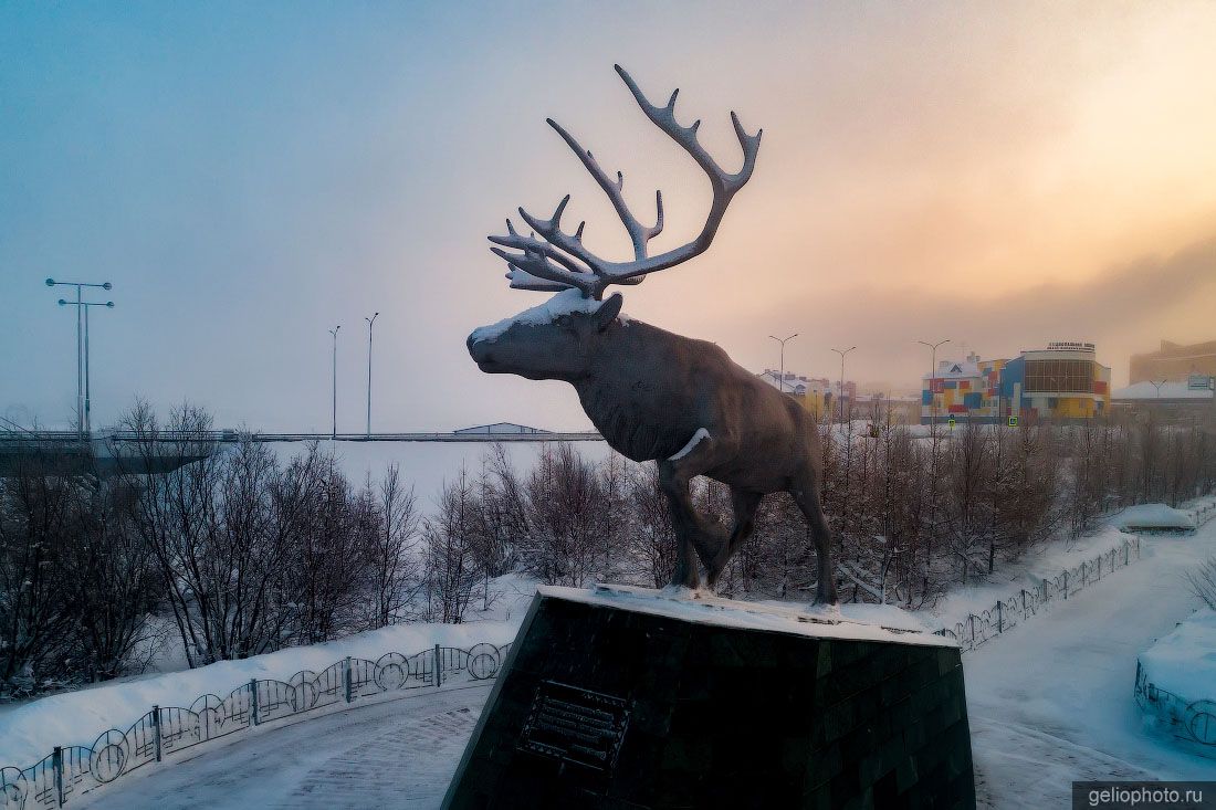 Скульптура Северный олень в Салехарде фото