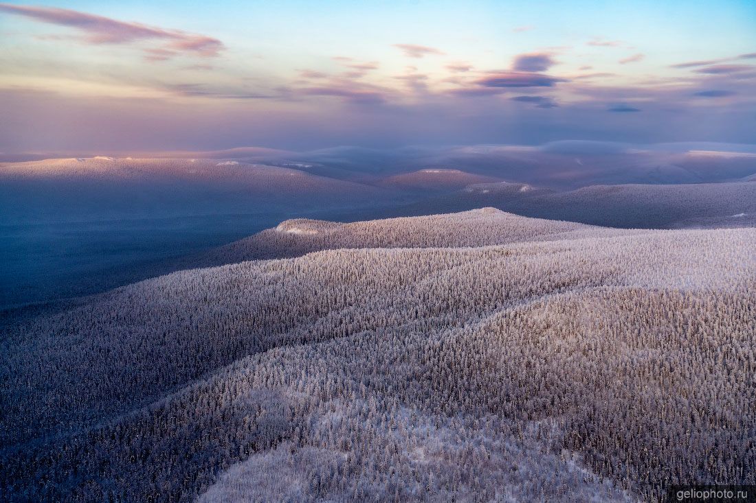 Тайга Эвенкии зимой с высоты фото