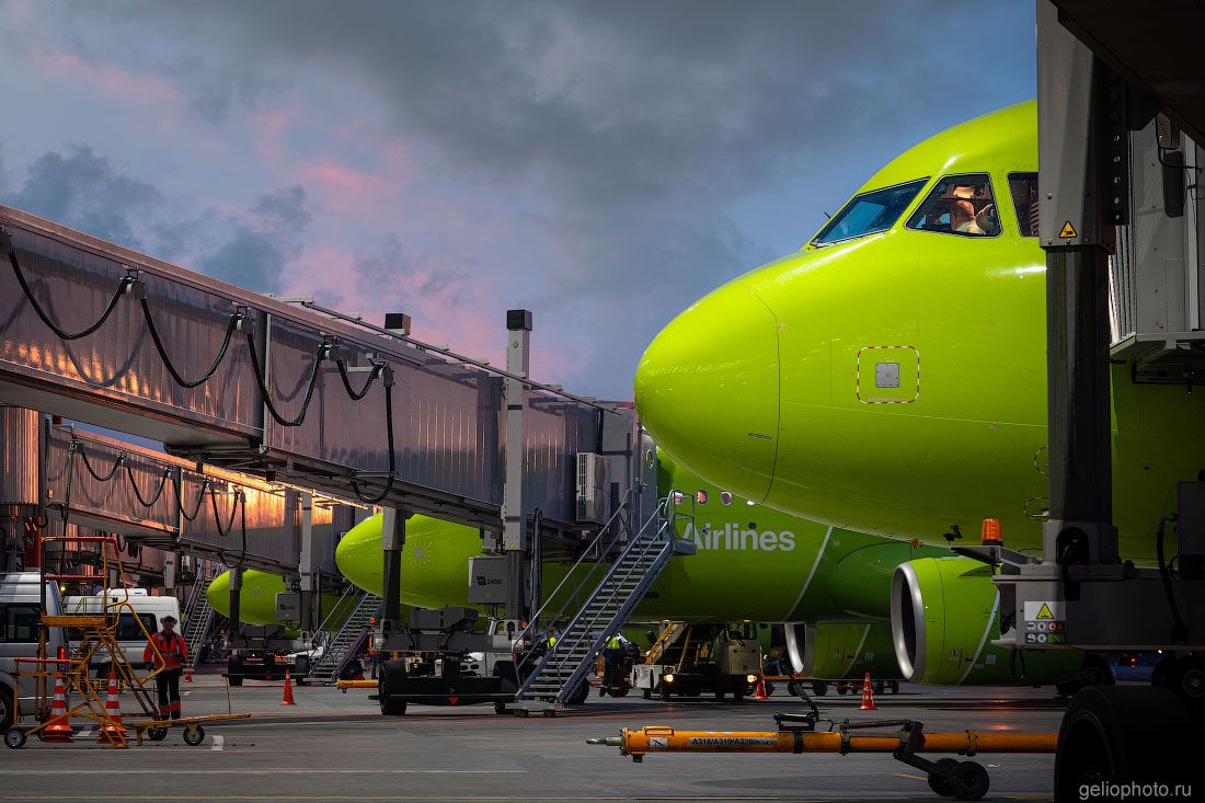 Самолёты S7 возле телетрапов в Толмачёво фото