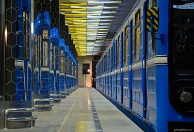 Станция Ботаническая Екатеринбургского метрополитена фото