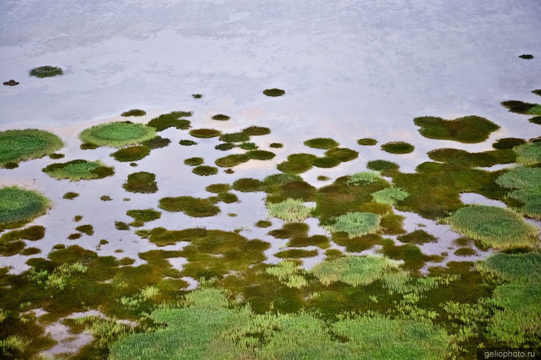Озеро Мальково в Новосибирской области фото