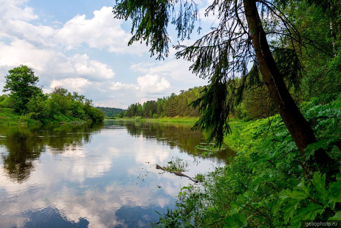 Природный рекреационный комплекс Волковский берег фото Gelio Природный рекреационный комплекс Волковский берег фото