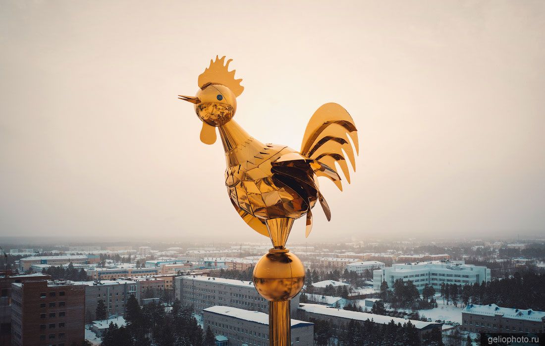 Флюгер золотой петушок на пожарной башне в Ноябрьске фото