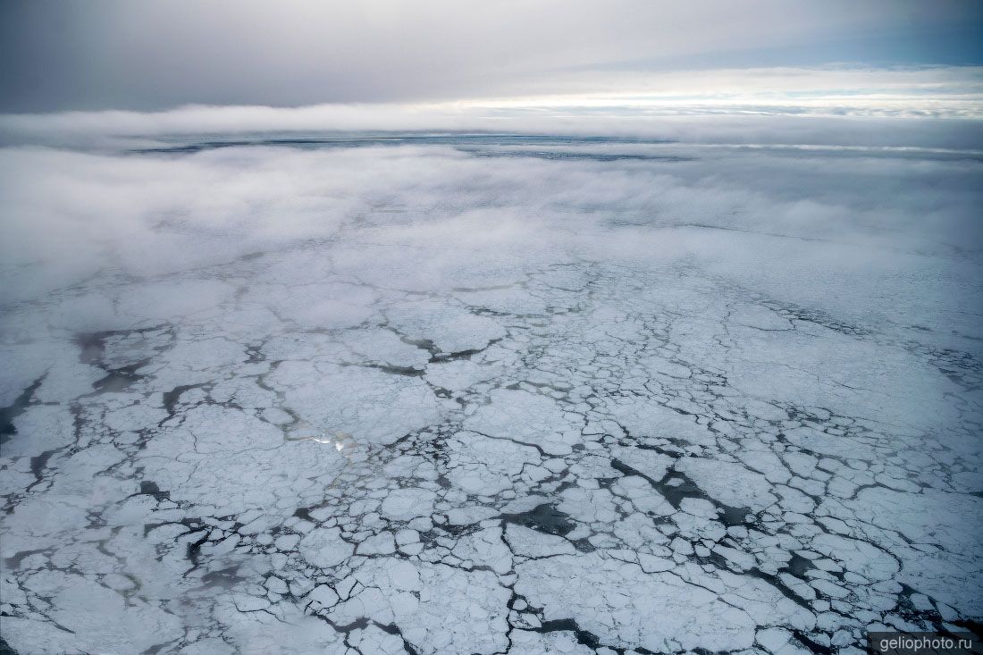 Льды в Баренцевом море Ненецкого АО с высоты фото