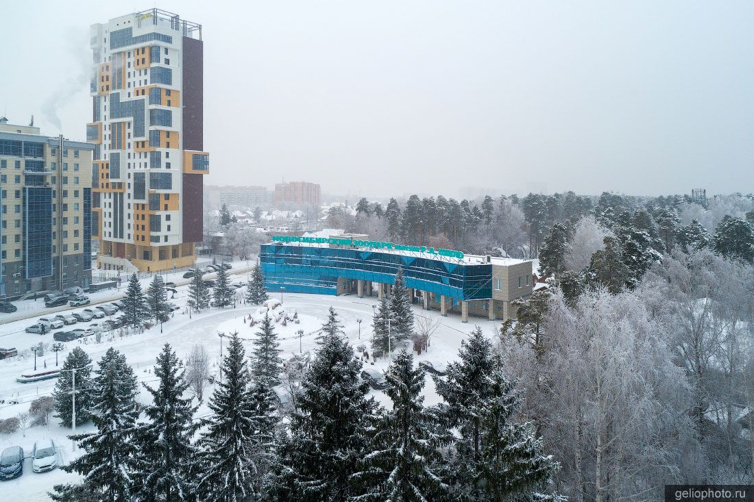 Новосибирский зоопарк зимой фото