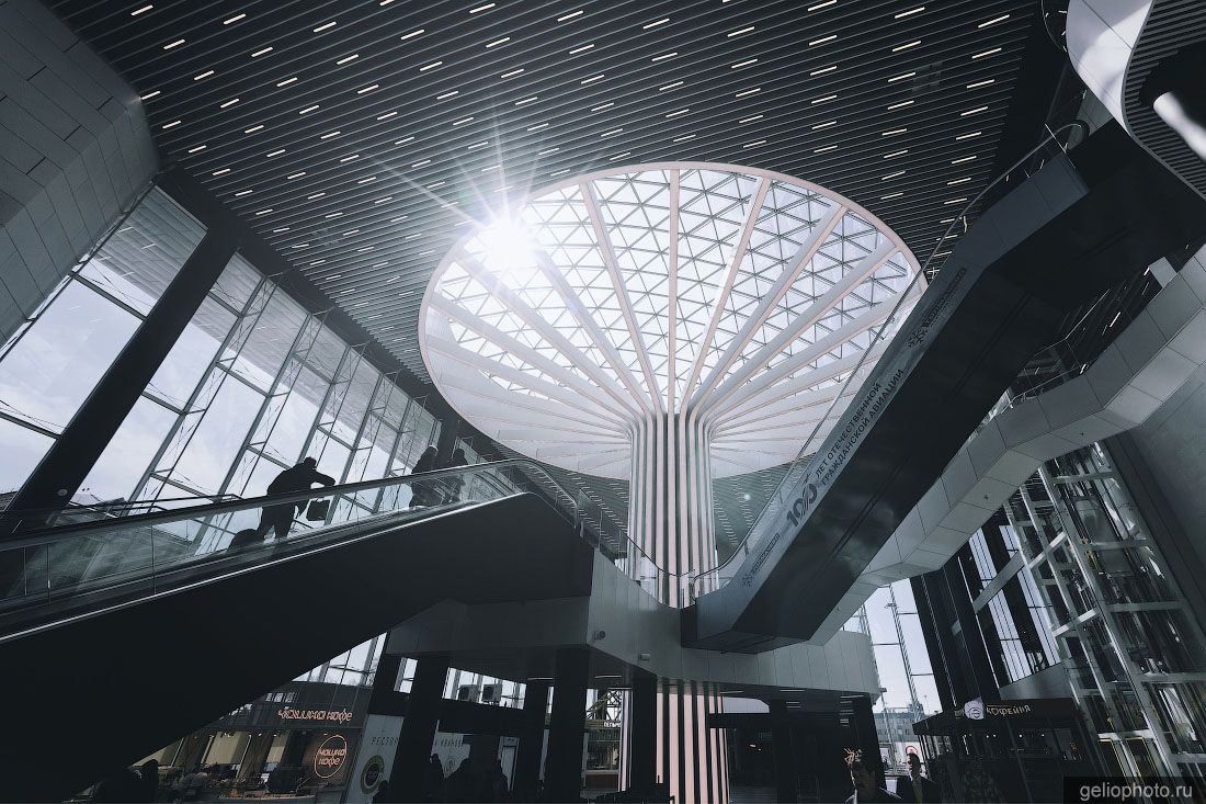 Интерьеры нового терминала Толмачёво в Новосибирске фото