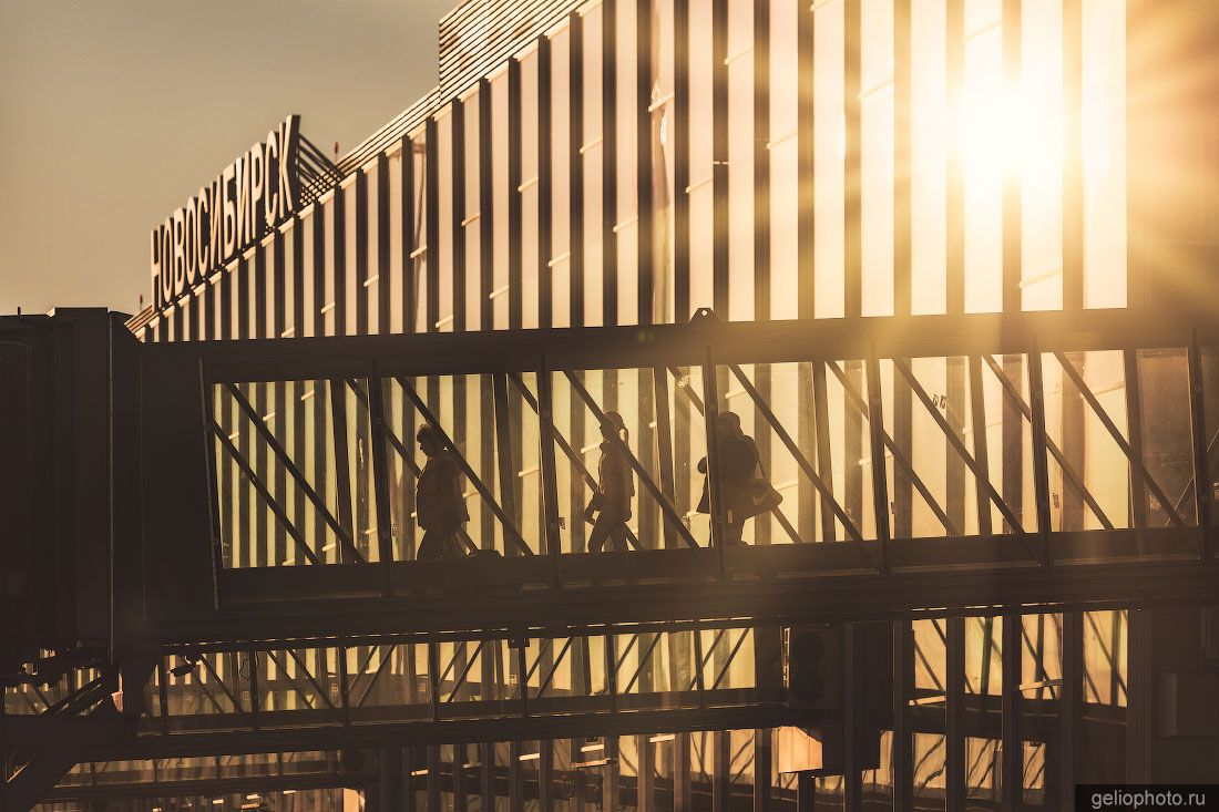 Телетрап в аэропорту Толмачёво в Новосибирске фото