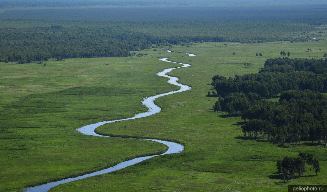 Река Бердь в Новосибирской области фото