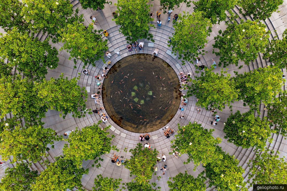 Пруд Кратер в Краснодарском парке Галицкого фото