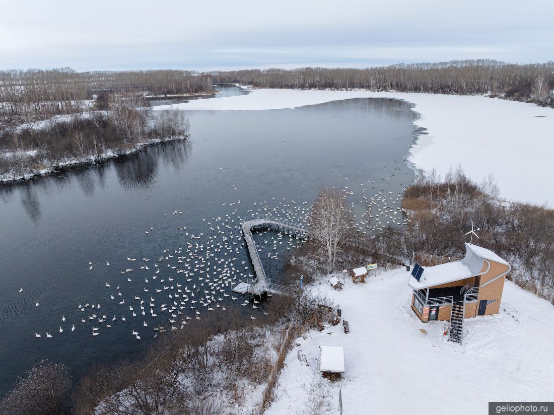 Лебединое озеро в Алтайском крае с высоты фото