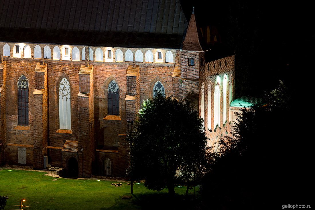 Калининградский Кафедральный собор ночью фото