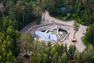 Вольер с белыми медведями в Новосибирском зоопарке фото