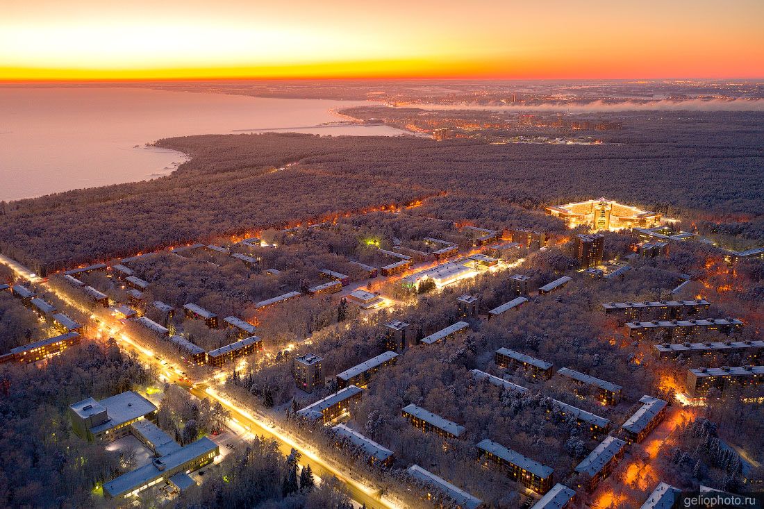 Новосибирский Академгородок вечером на закате фото