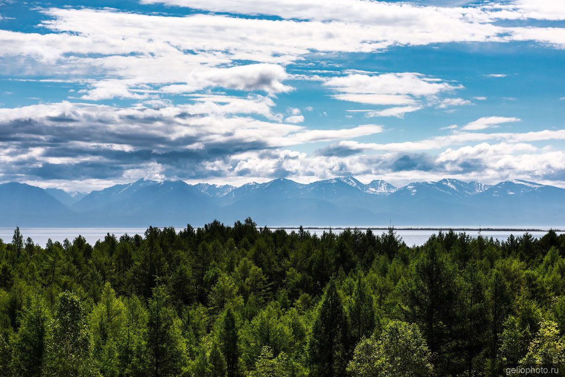 Тайга Нижнеангарска на берегу Байкала фото