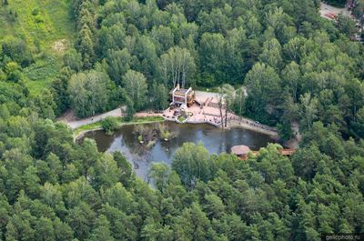 Лебединое озеро в Новосибирском зоопарке фото