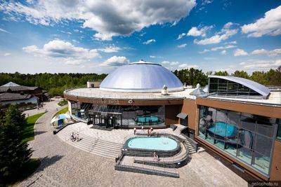 Дельфинарий в Новосибирске фото