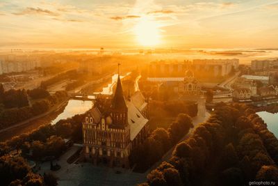 Кафедральный собор с высоты в Калининграде фото