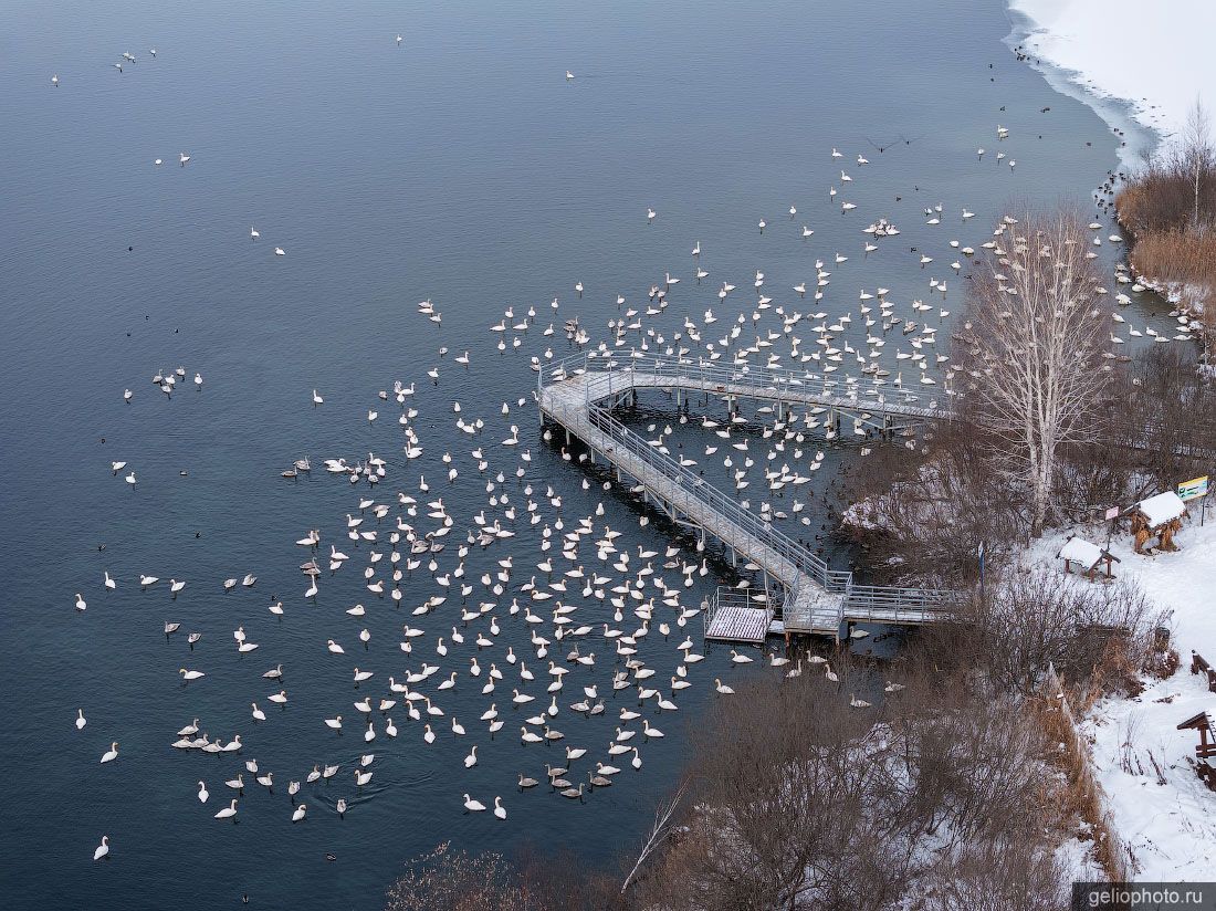 Лебединое озеро в Алтайском крае с высоты фото