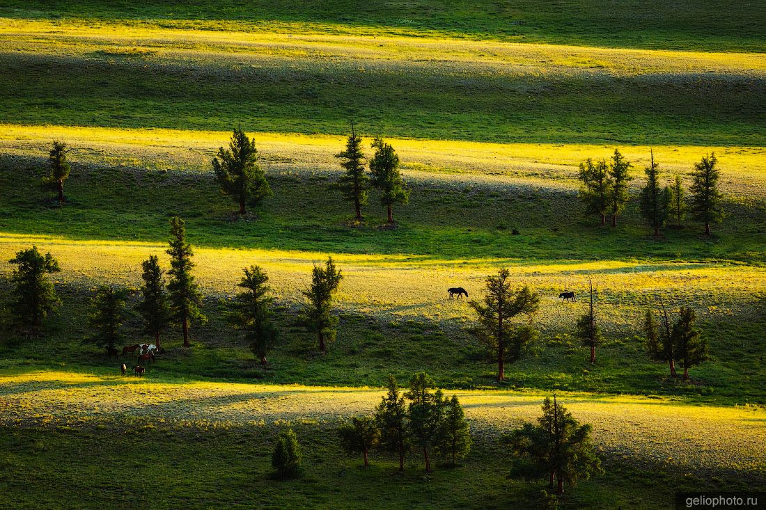 Природа Алтая с высоты фото