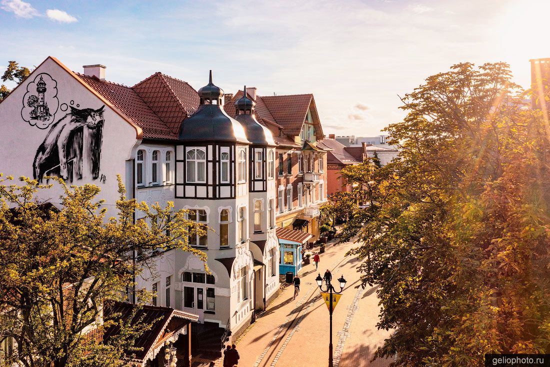 Граффити с котом в Зеленоградске фото